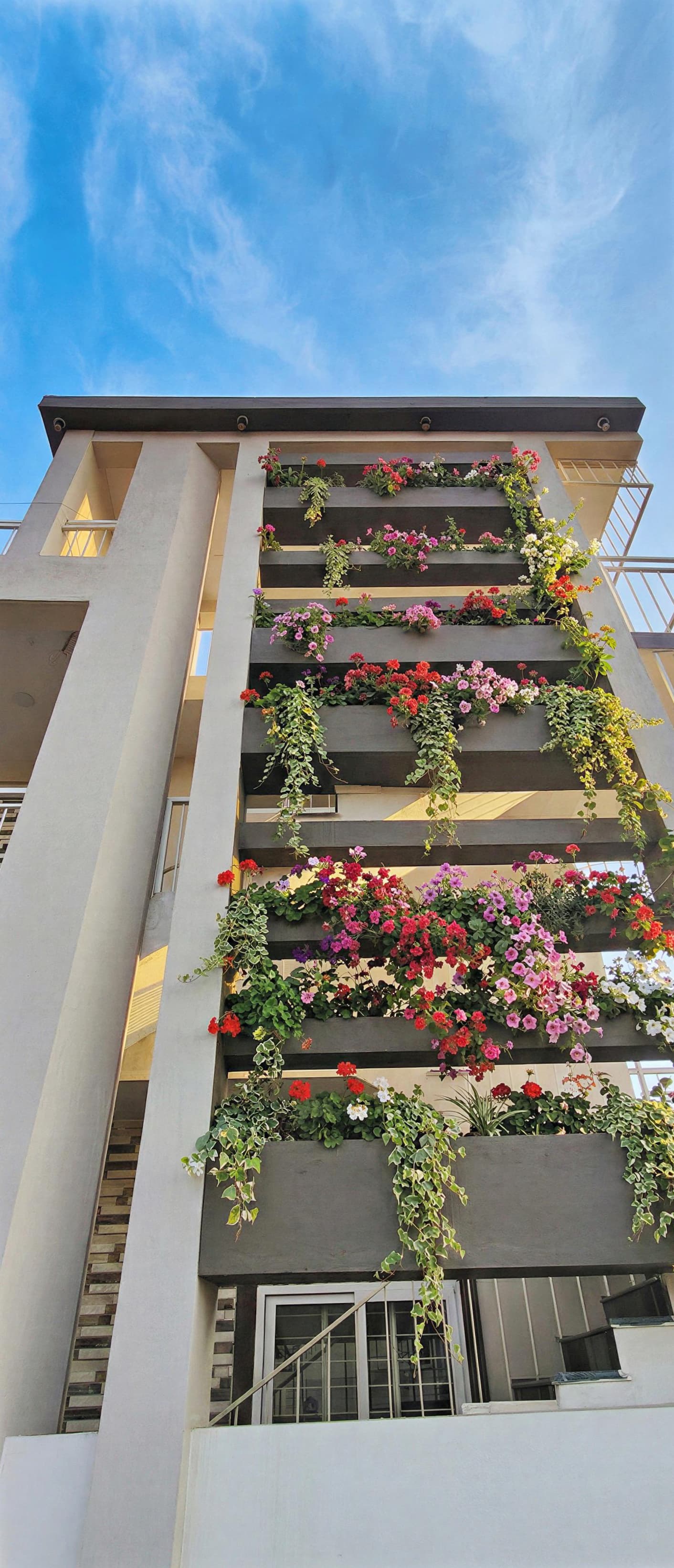 MIG 265 — project view 2