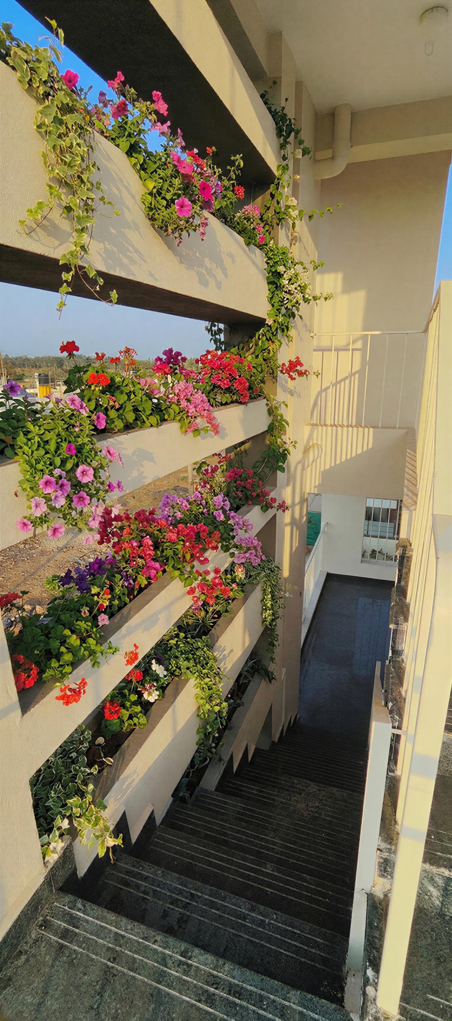 MIG 265 — project view 3